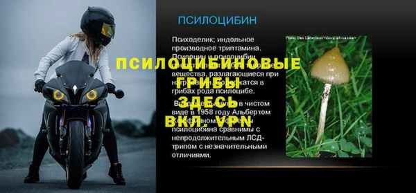 дживик Волоколамск