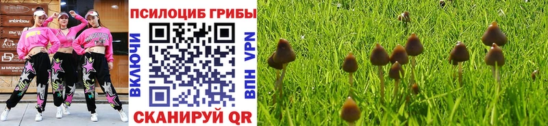Галлюциногенные грибы мухоморы  Братск 